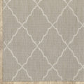 3' X 5' Gray And Ivory Indoor Outdoor Area Rug