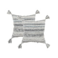 Set of Two 20" X 20" Gray Indoor Outdoor Throw Pillow Cover & Insert