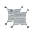 Set of Two 20" X 20" Gray Indoor Outdoor Throw Pillow Cover & Insert