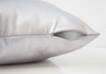 Set of Two 18" Silver Satin Throw Pillows