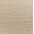 5' X 7' Tan And Ivory Hand Woven Area Rug