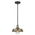 Brushed Gold Shallow Plate Adjustable Pendant Light