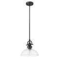 Matte Black Hanging Light with Glass Dome Shade