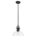 Matte Black Hanging Light with Glass Dome Shade