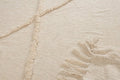60" X 50" Cream Woven Cotton Throw Blanket with Fringe