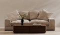 Modern Charcoal Plunge Sofa